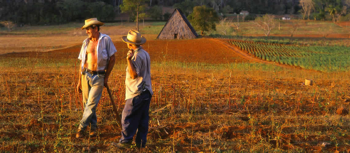 Cuba slide image