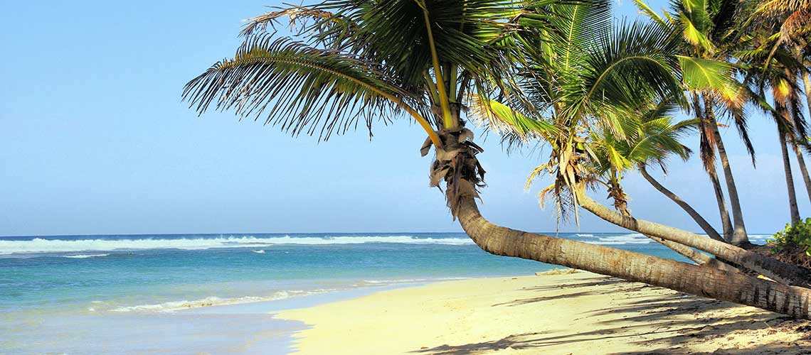 Beaches