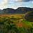Vinales